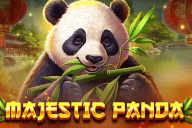Người dùng Việt Nam thao tác trên nền tảng msi lol bằng điện thoại
